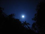 CRW_0232 Луна светит почти как солнце. Ночью можно ходить без фонаря